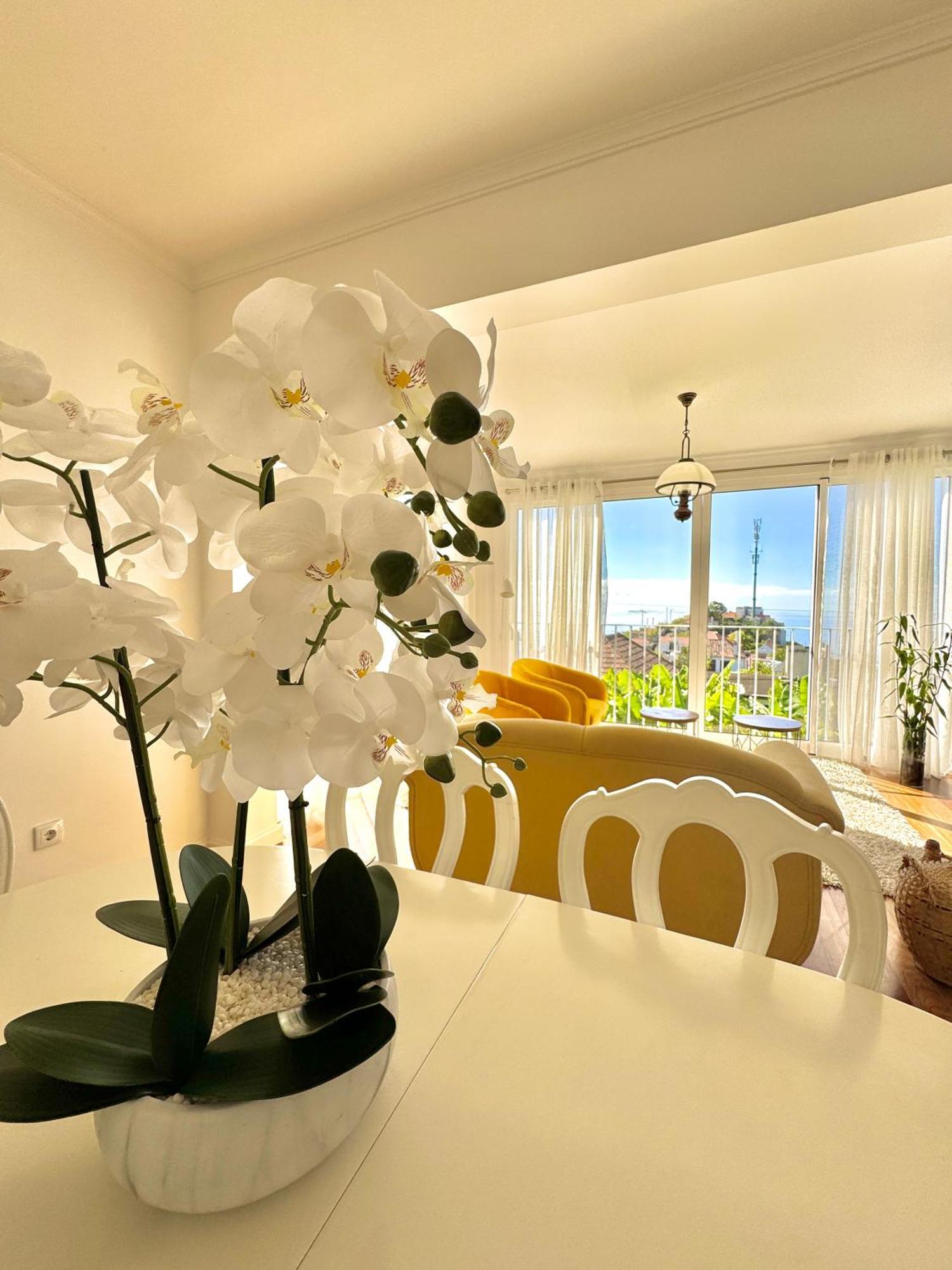 A Velha Casa Caboz Apartman Ponta do Sol  Kültér fotó